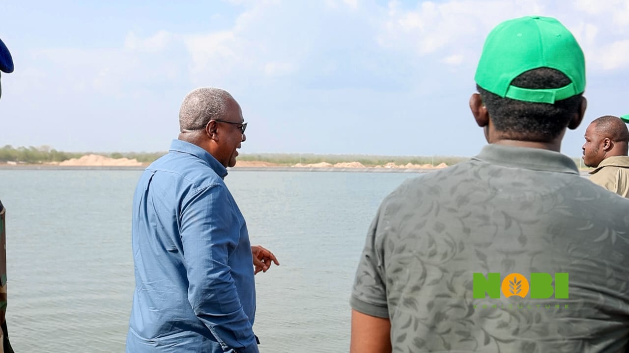 4cc1da00 e43b 4332 9f1c d83ea03e0fa4