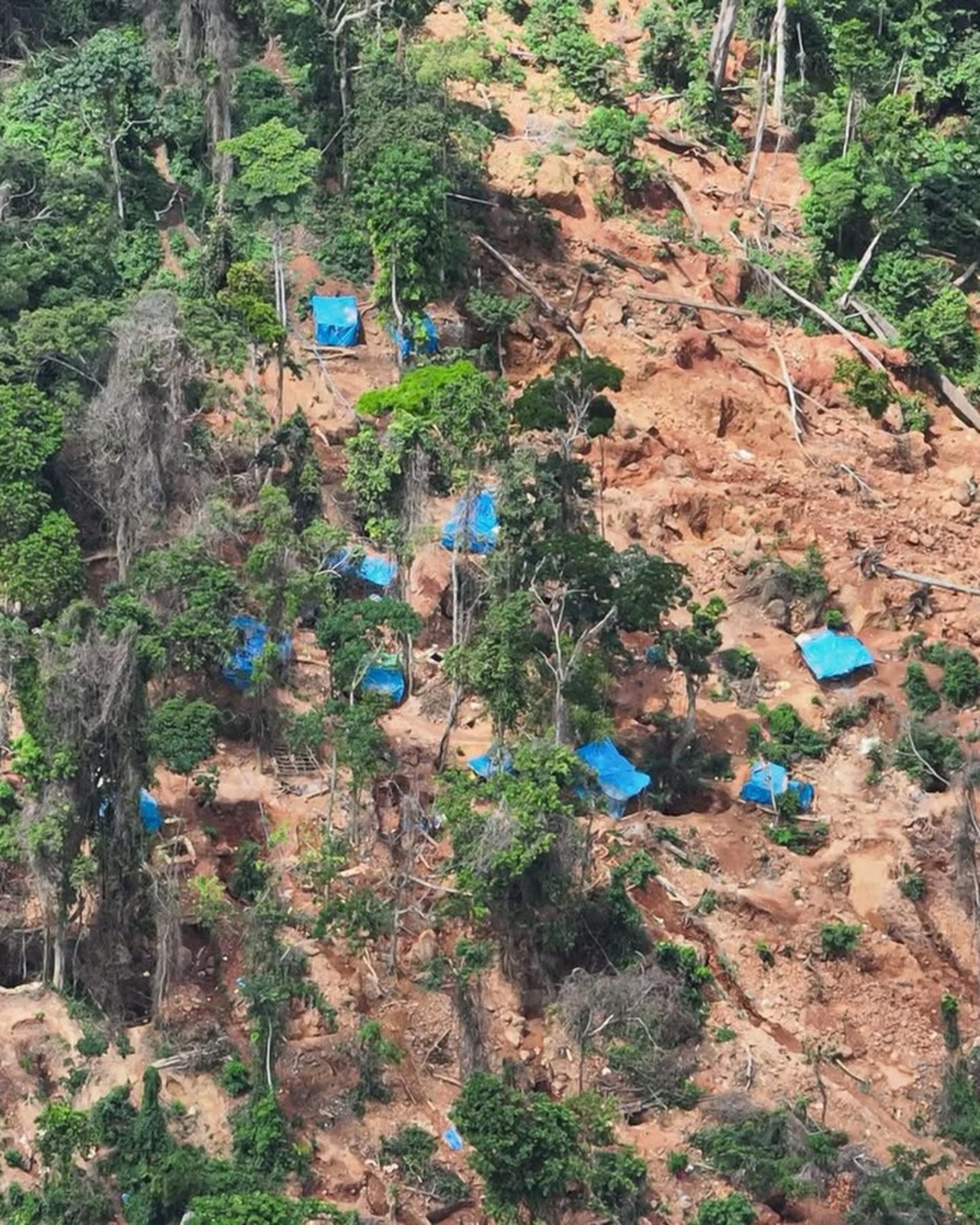 44e8cc5b b13a 4df3 9c67 6376c89a9b0c