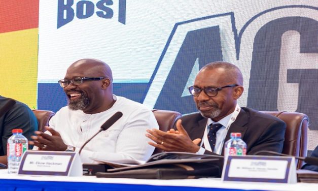 BEST posts GH₵208m profit in 2023