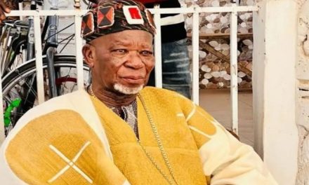 Buipewura Jinapor II elected Vice-President of National House of Chiefs