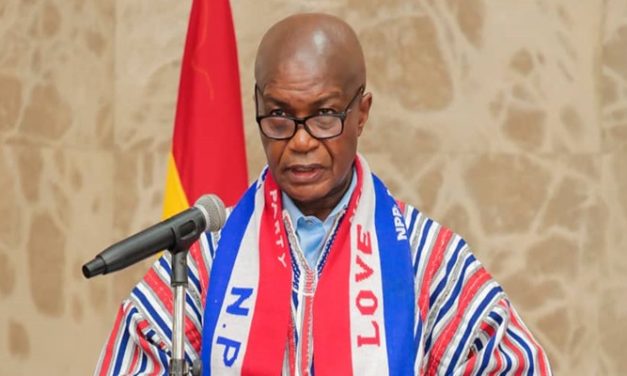 Young Elephants probe NPP’s 2024 defeat