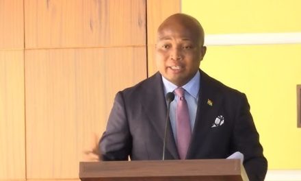 ORAL Team received 2,417 complaints-Ablakwa