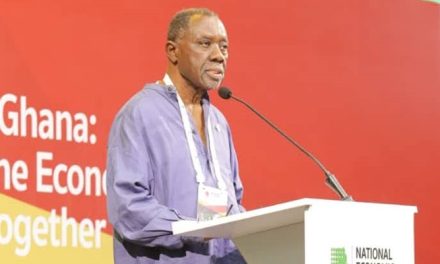 Ghana needs sustainable financing strategy for economic reset – Dr Amoako