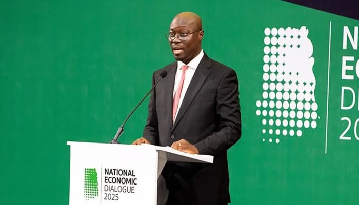 Finance Minister outlines 7 key areas to fix economic challenges