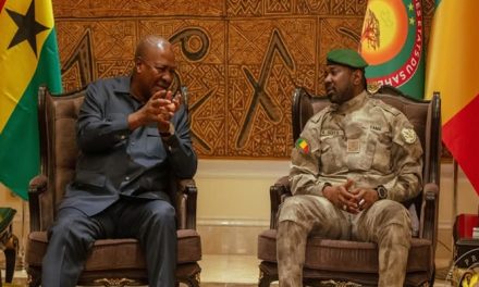 President Mahama and Malian Counterpart Hold Bilateral Discussions