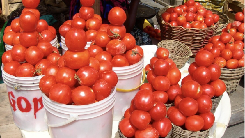 tomato
