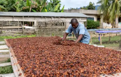 COCOBOD