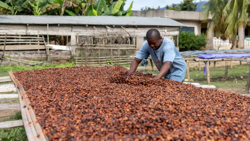 COCOBOD
