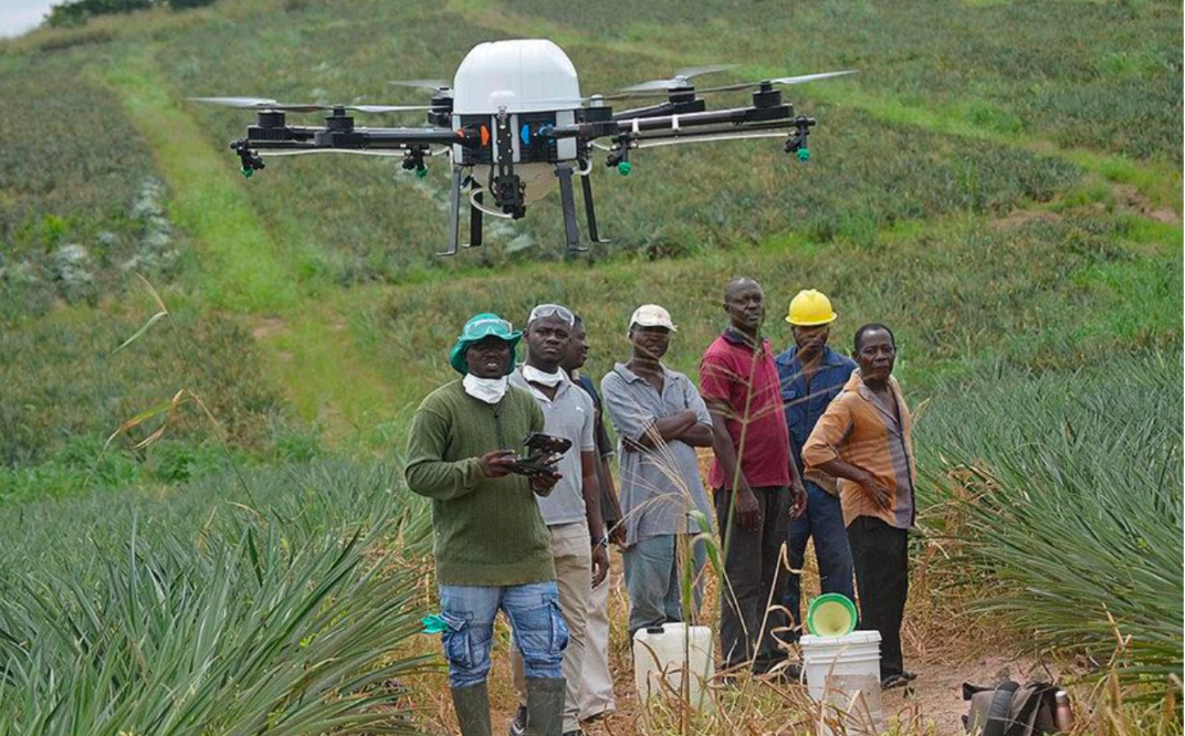 drone