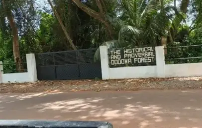 Dodowa Forest