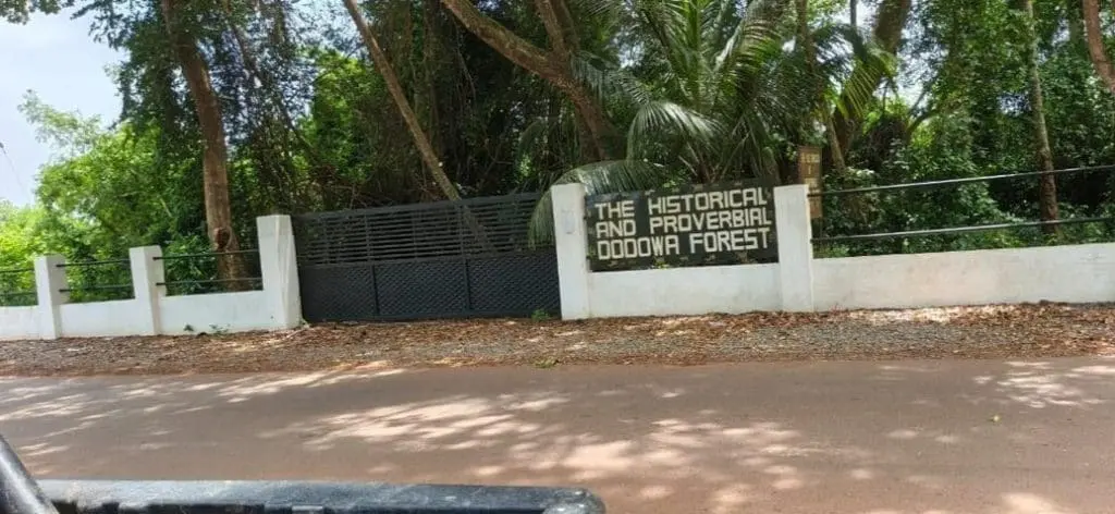Dodowa Forest