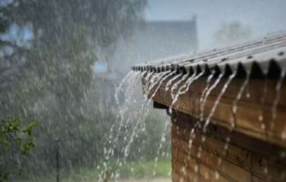 Rainfall