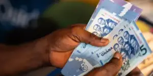 cedi news 1200x800 1 750x375